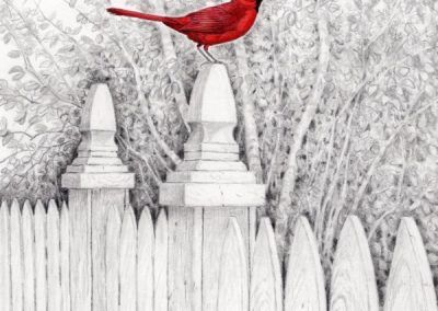 Peter Ross