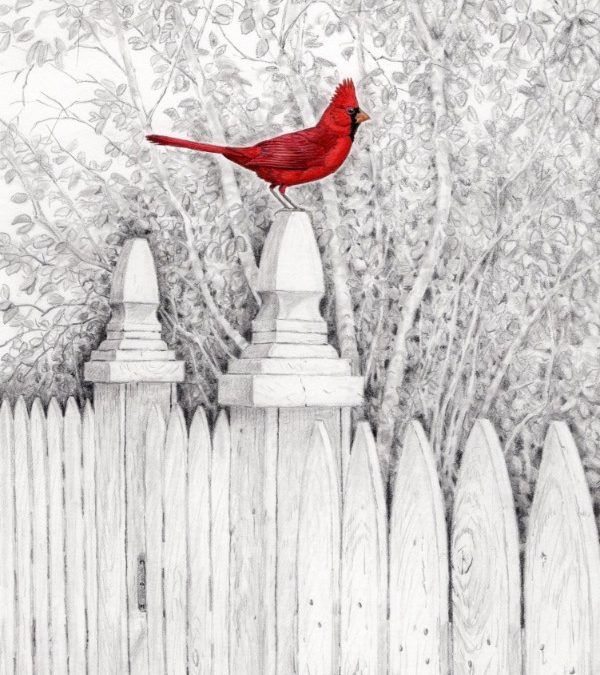 Peter Ross