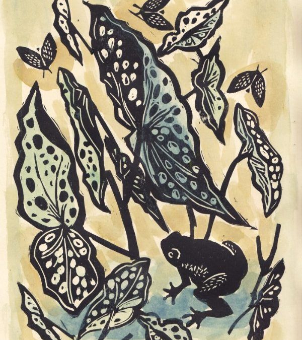 Coralette Damme
