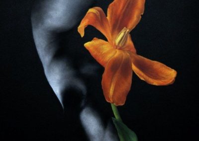 Renee Boynton