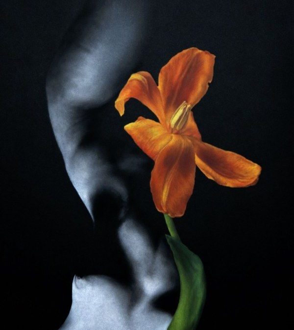 Renee Boynton